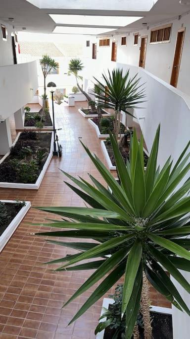 Ferienwohnung Modern,Strandnaehe, Club Olympus, Garten City Tenerife Playa Feñabe Εξωτερικό φωτογραφία